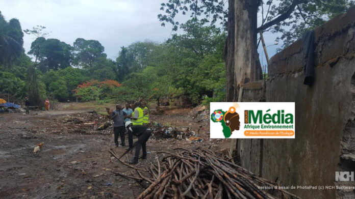 afriquenvironnement
